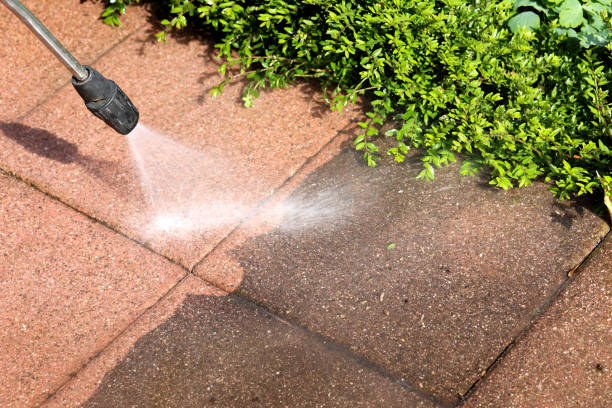 Best Power Washing Near Me  in Louisa, VA